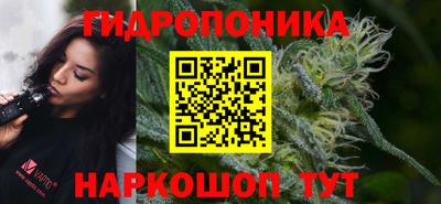 МДПВ Вязьма