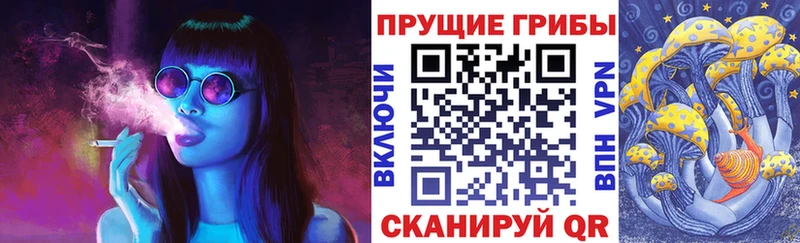 Псилоцибиновые грибы Psilocybine cubensis  Морозовск 
