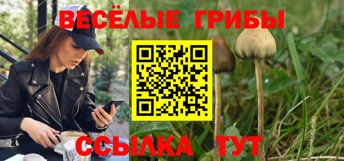 Псилоцибиновые грибы мухоморы  Псилоцибиновые грибы GOLDEN TEACHER  Вход с VPN  цена наркотик  Морозовск 