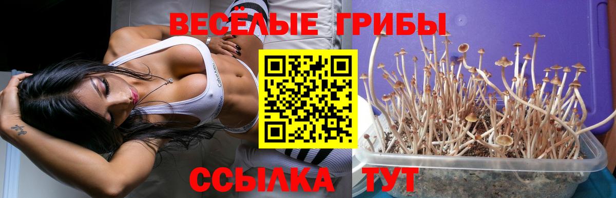 Галлюциногенные грибы MAGIC MUSHROOMS Морозовск